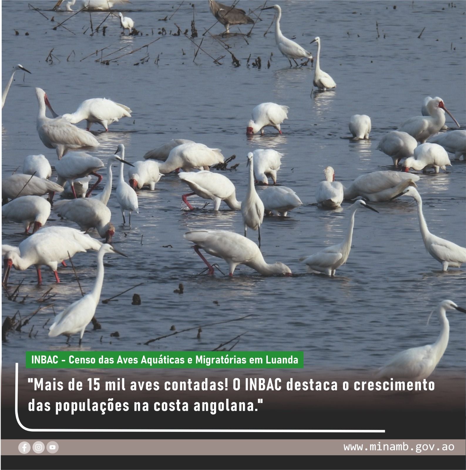 <br />
<b>Notice</b>:  Undefined index: title in <b>/home/gov/public_html/portais-governo-producao/themes/portalweb/galeria-itens.php</b> on line <b>148</b><br />
