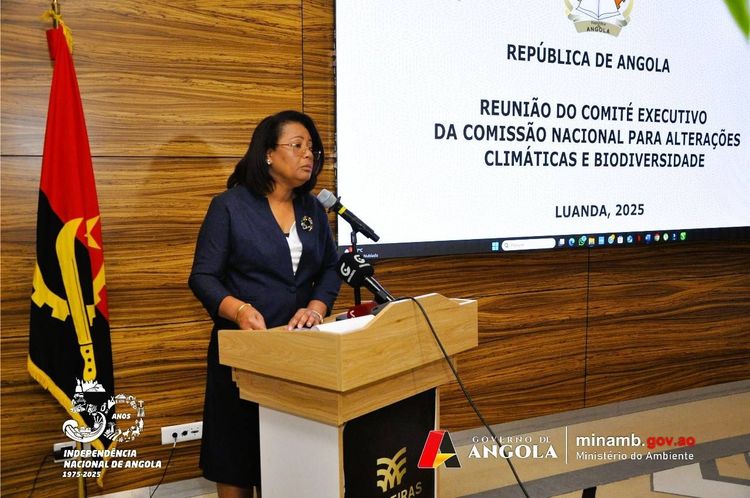 Notícia