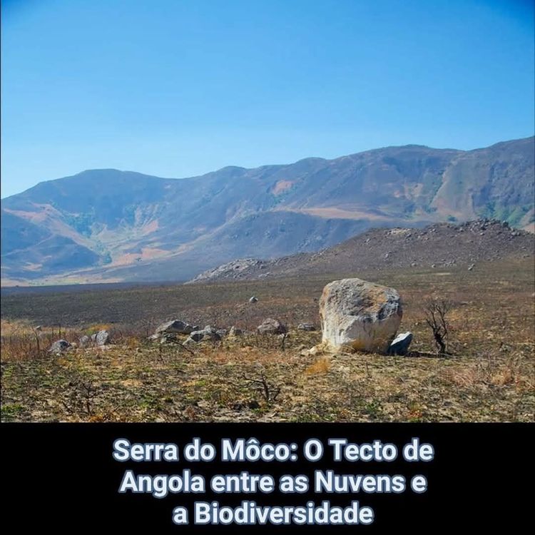 Notícia