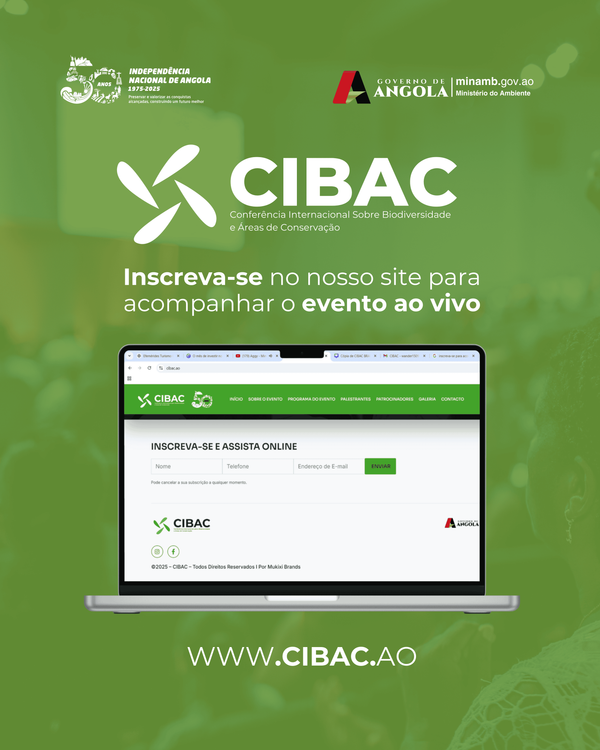 Notícia