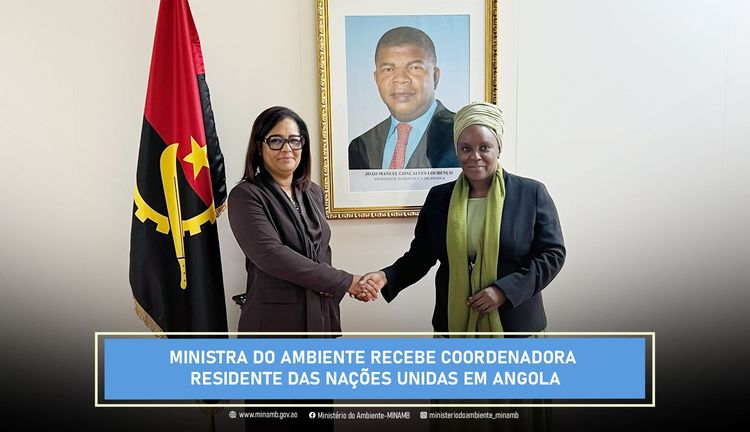 Notícia