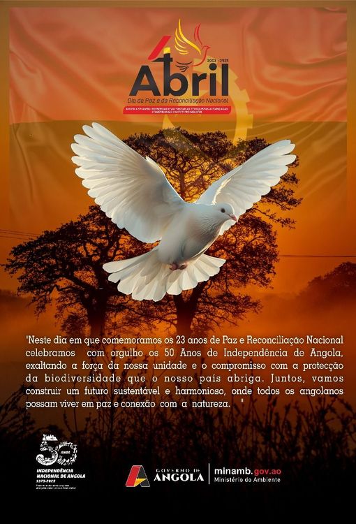 Notícia