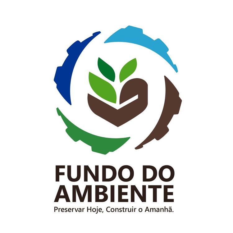 Notícia