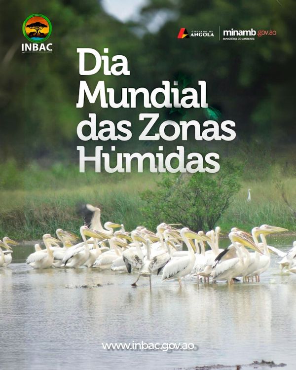 Notícia