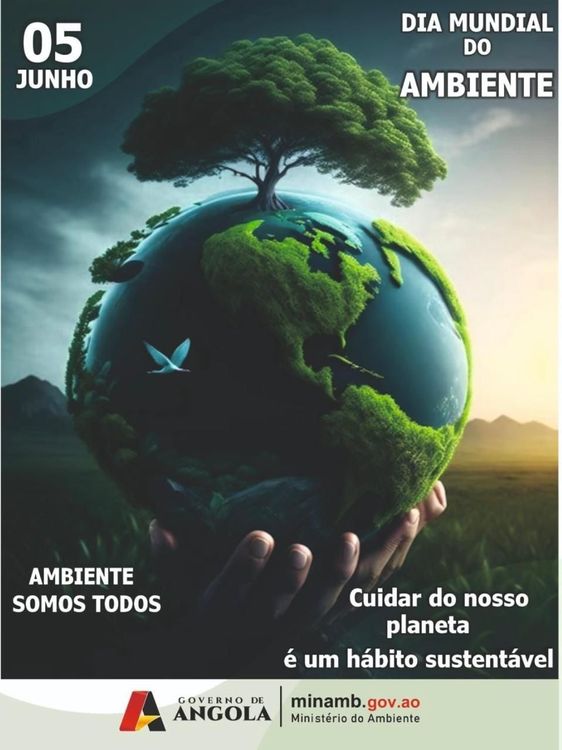 Notícia