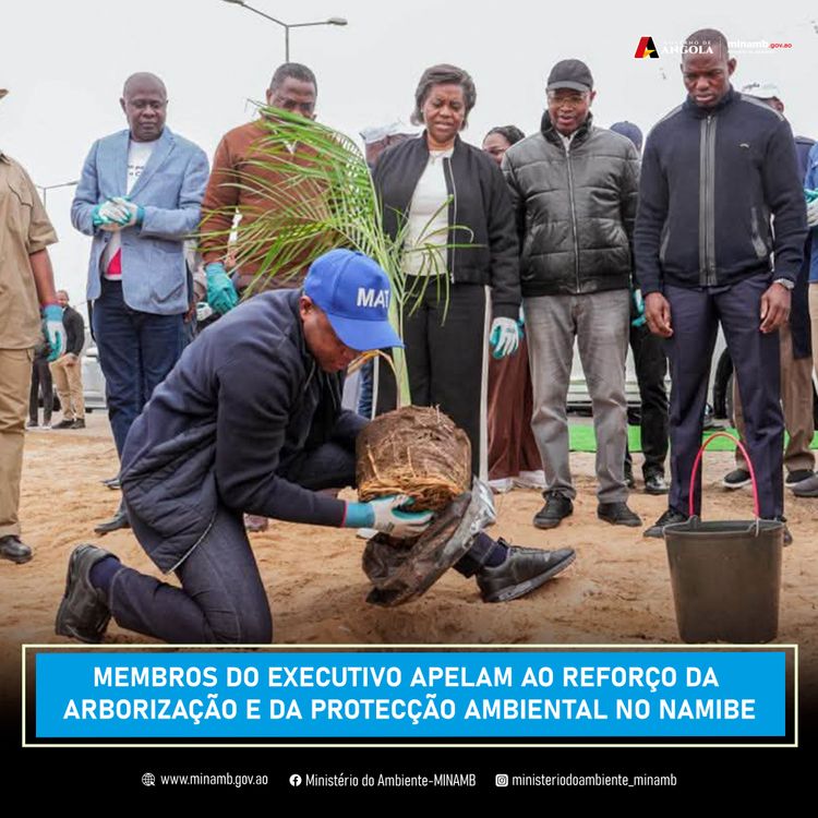 Notícia